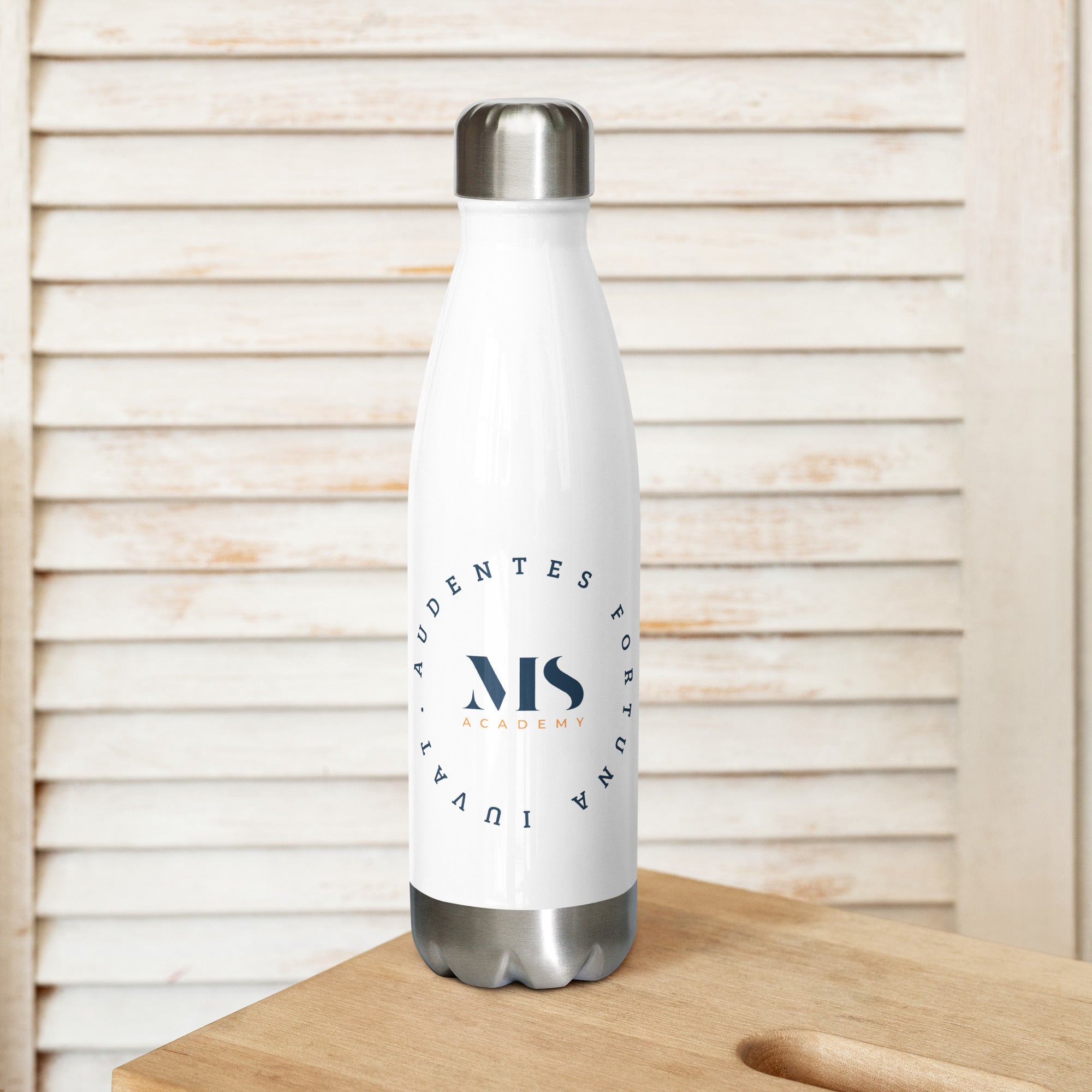 Stainless steel water bottle